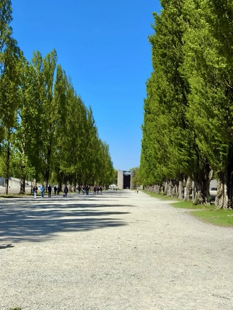 KZ Dachau 1933–1945: Geschichte und Zeugen Jehovas-2026